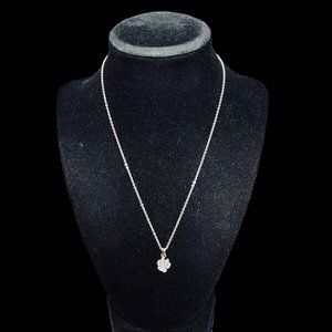 Silver Tone Cable Chain Necklace With Clear Rhinestone Paw Print Pendant (4700)